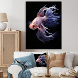 Purple Kois Fish Delicate Patterns - Koi's Fish Home Decor Art
