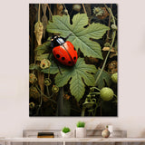 Ladybug Ladybugs Leisure - Red Ladybug Wall Art