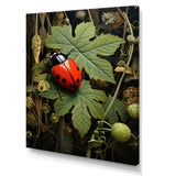 Ladybug Ladybugs Leisure - Red Ladybug Wall Art
