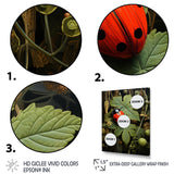 Ladybug Ladybugs Leisure - Red Ladybug Wall Art