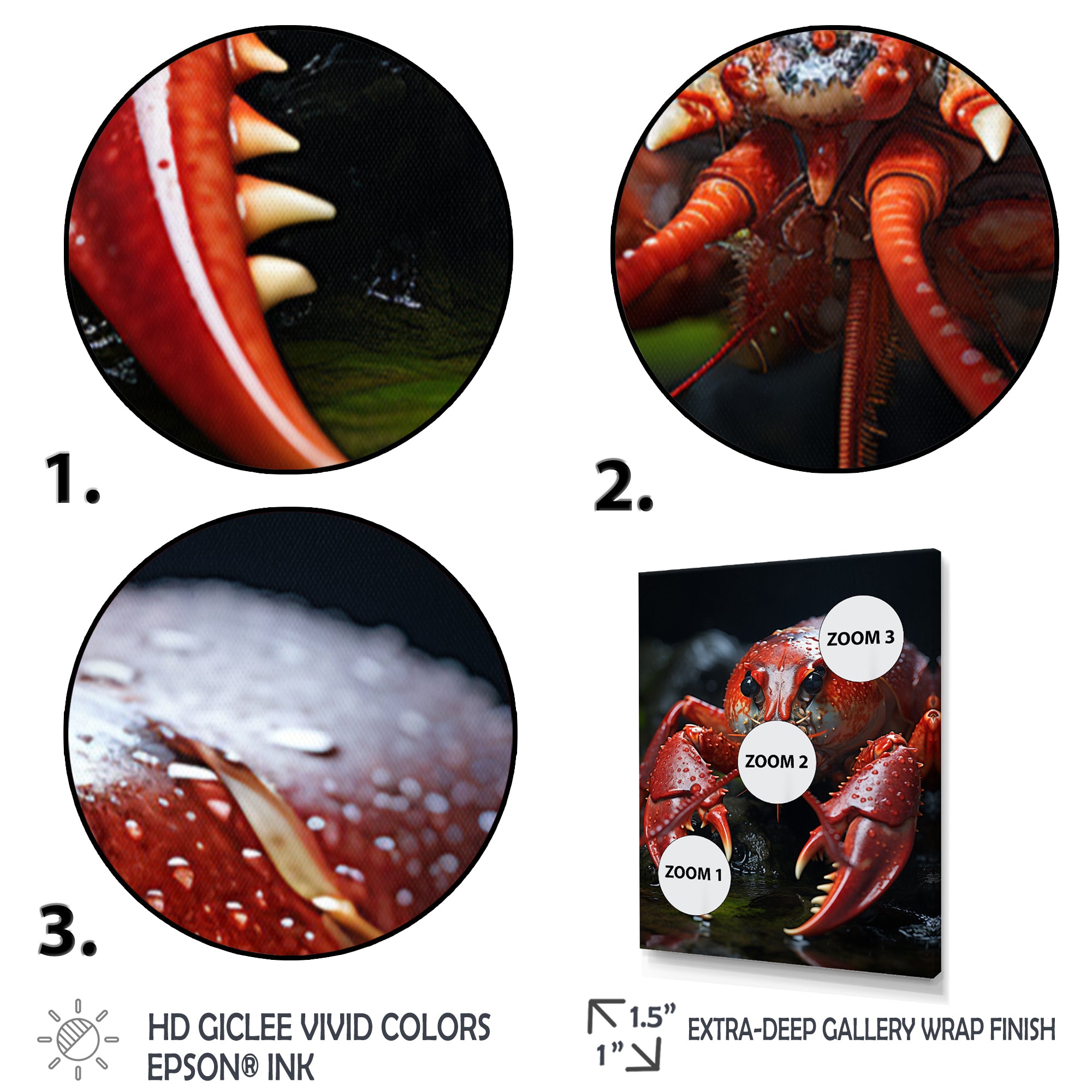 Coral Black Lobster Lively Lobster - Lobster Wall Art Prints