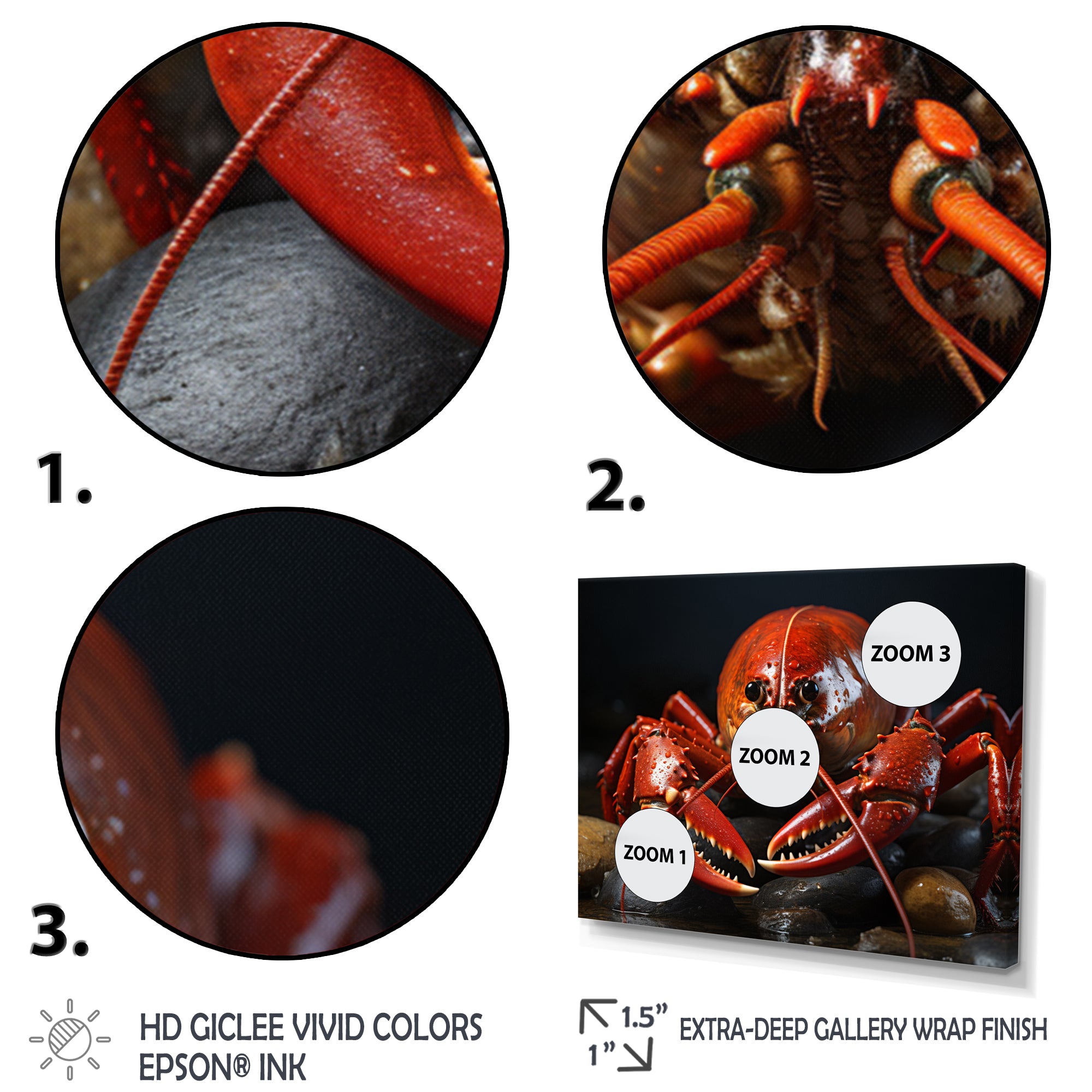 Coral Black Lobster Portrait - Lobster Home Decor Art