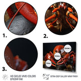 Coral Black Lobster Portrait - Lobster Home Decor Art