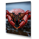 Coral Grey Lobster Portrait Vibrant - Lobster Living Room Wall Art