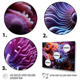 Purple Coral Marine Animals Harmony - Marine Animals Framed Canvas Art
