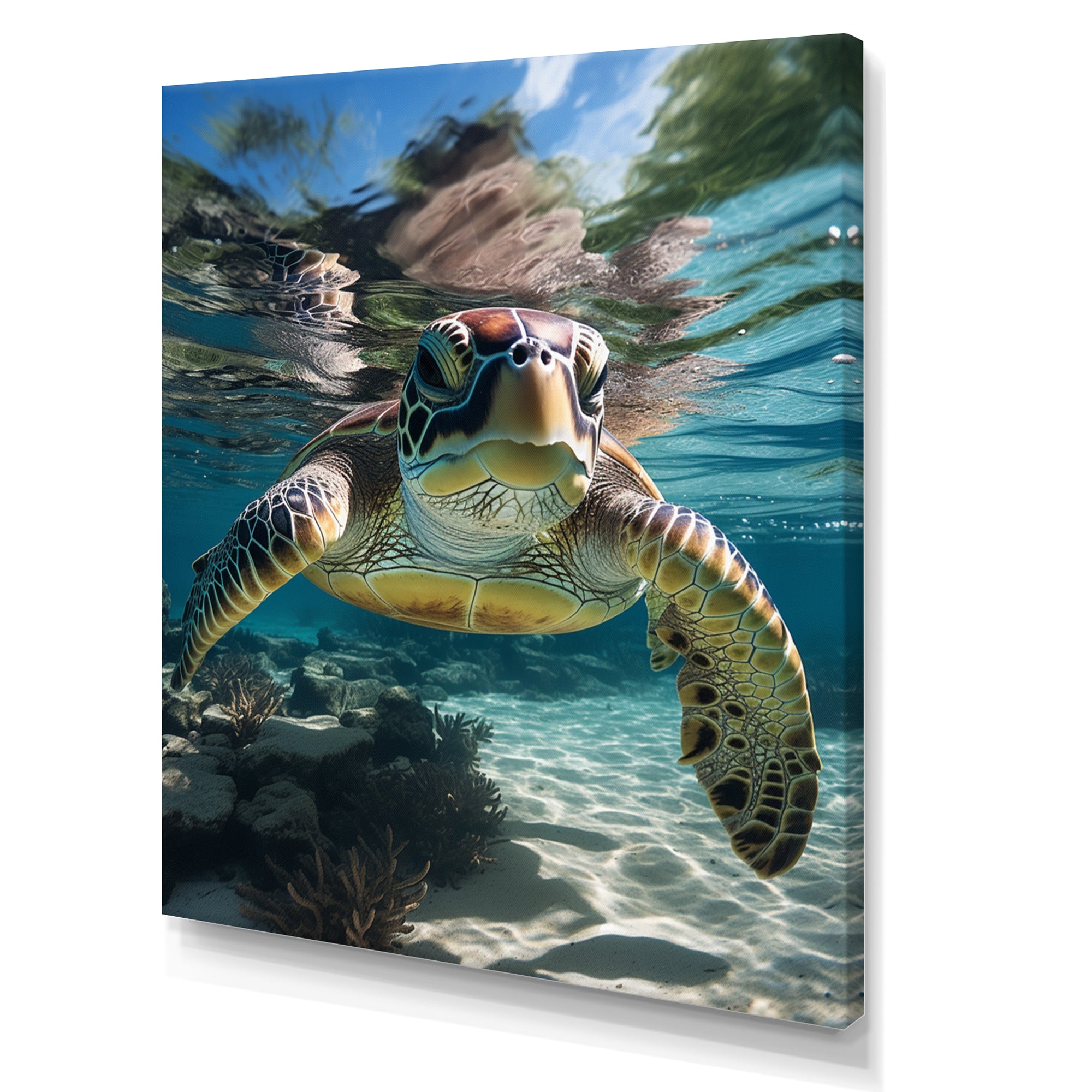 Green Teal Turtle Portrait Stunning - Green Marine Animals Wall Art