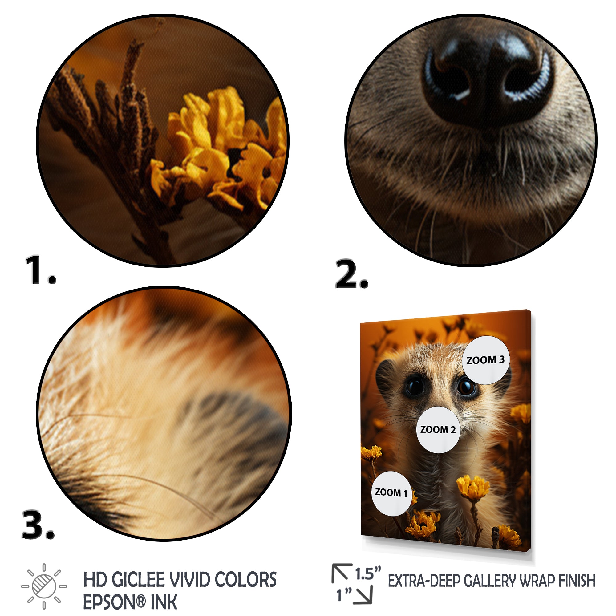 Orange Brown Meercat Animal - Meercat Wall Art Prints