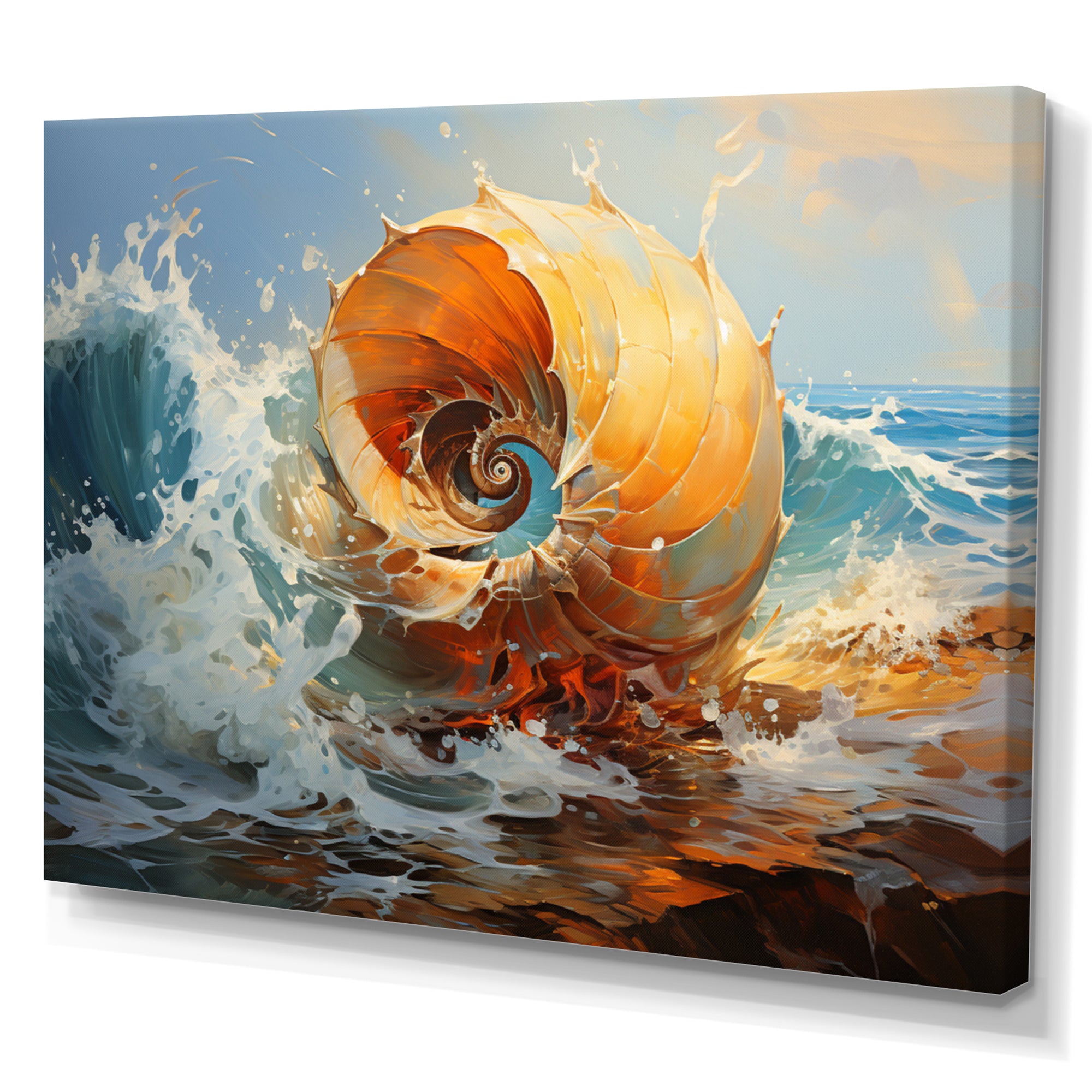 Nautilus Sheels Elegance - Nautilus Wall Decor
