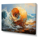 Nautilus Sheels Elegance - Nautilus Wall Decor