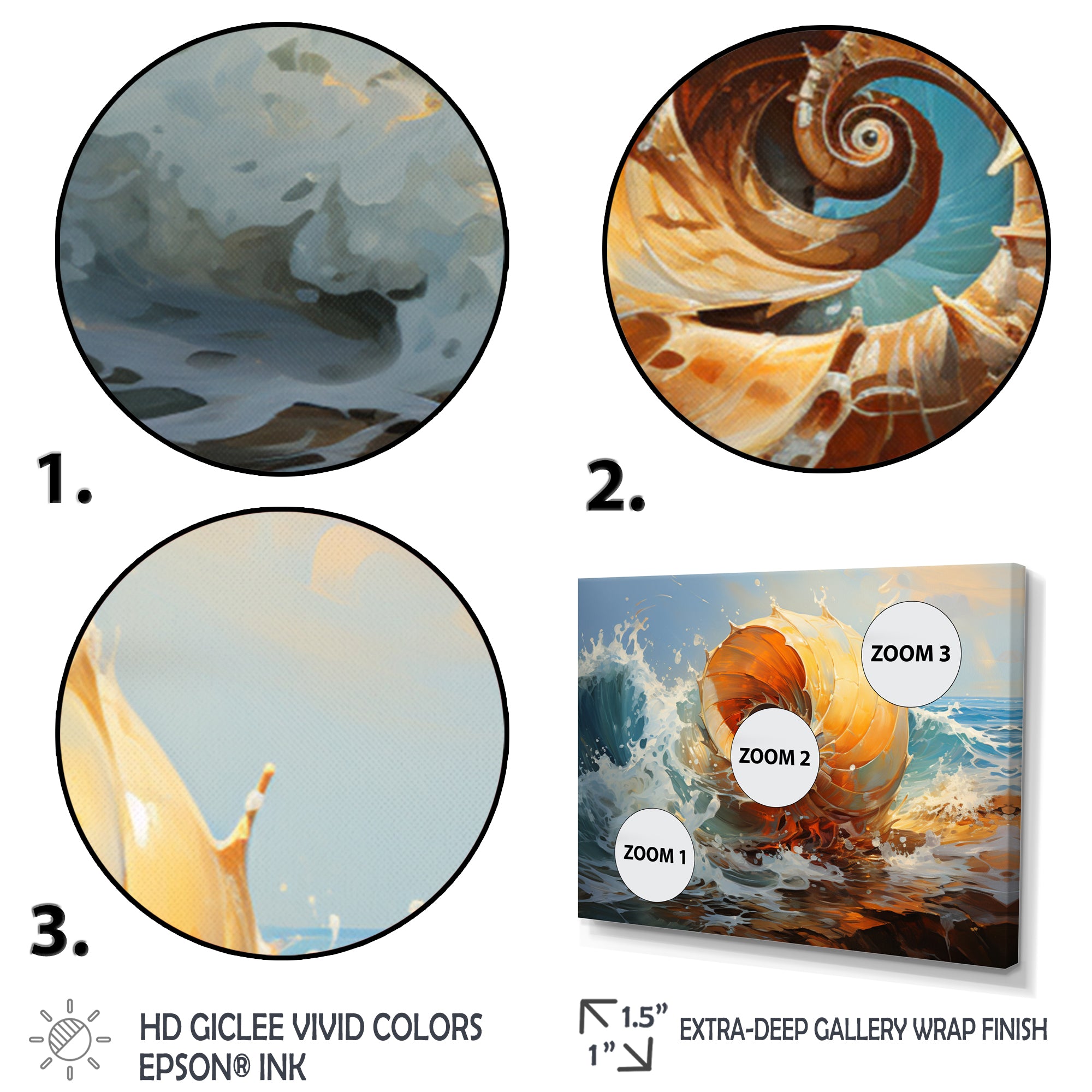 Nautilus Sheels Elegance - Nautilus Wall Decor