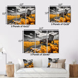 Yellow Old Cart Roadside Relic I - Old American Cart Canvas Wall Art