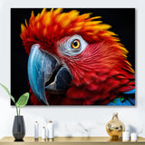 Red Parrot Colorful Parrot - Parrot Canvas Wall Art