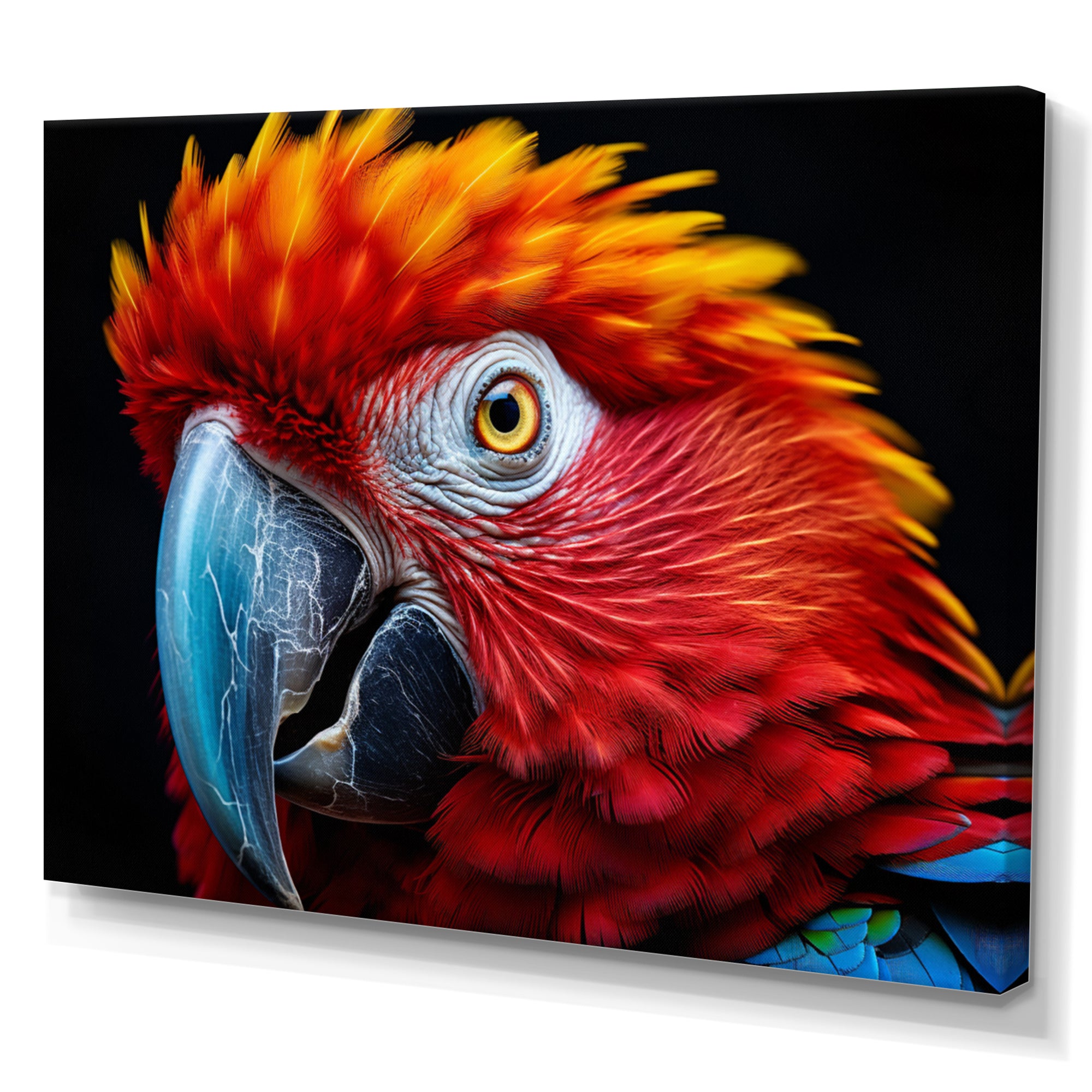Red Parrot Colorful Parrot - Parrot Canvas Wall Art