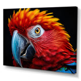 Red Parrot Colorful Parrot - Parrot Canvas Wall Art