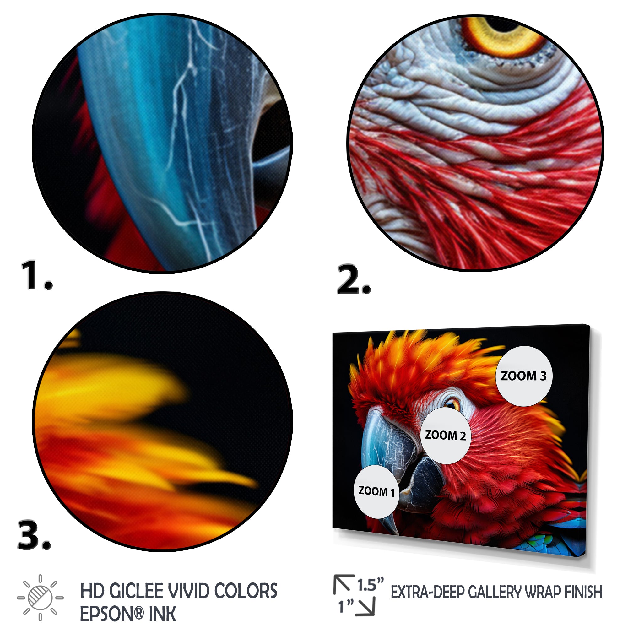 Red Parrot Colorful Parrot - Parrot Canvas Wall Art