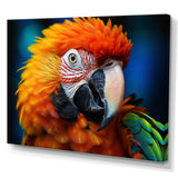 Yellow Red Parrot Colorful Parrot - Parrot Canvas Wall Art