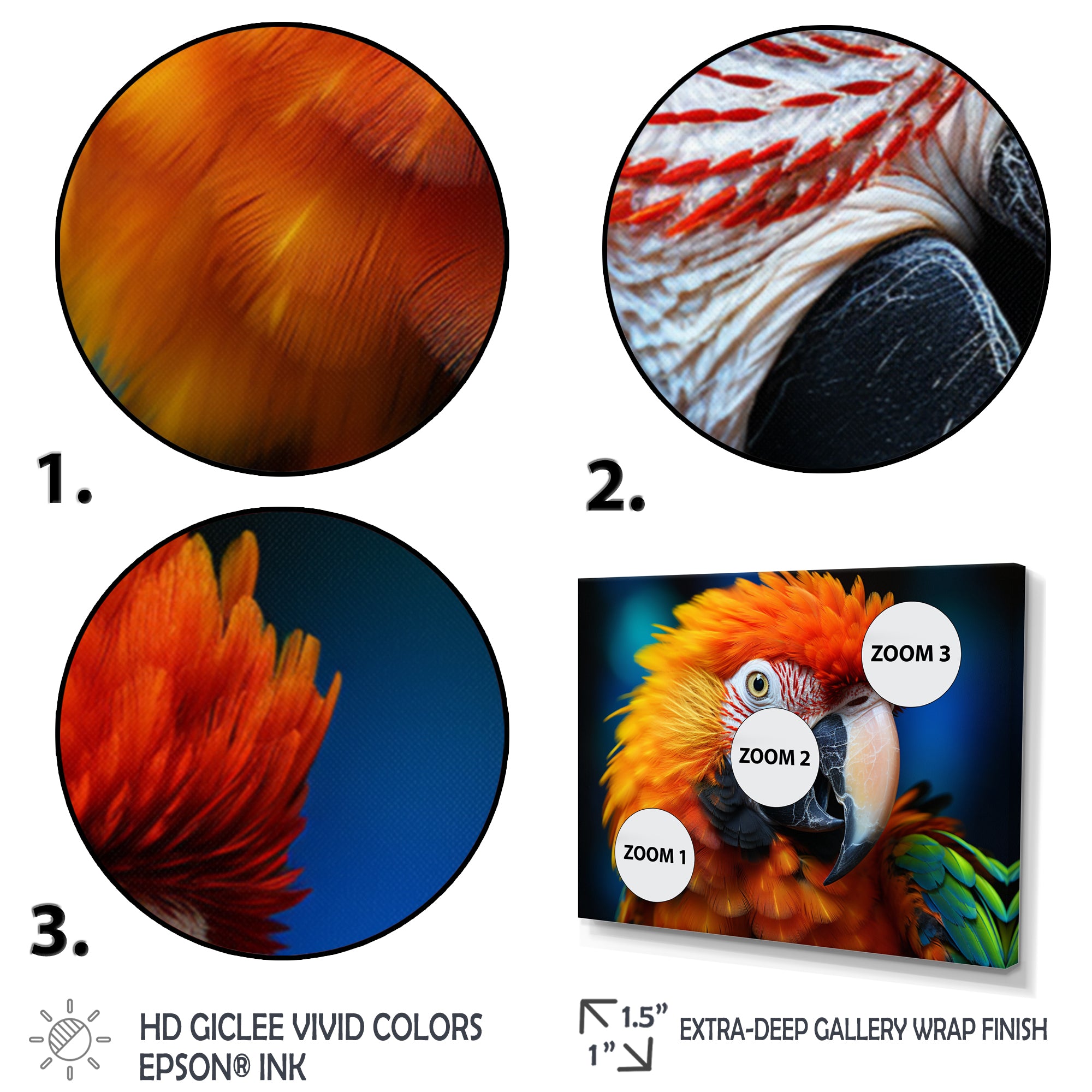 Yellow Red Parrot Colorful Parrot - Parrot Canvas Wall Art