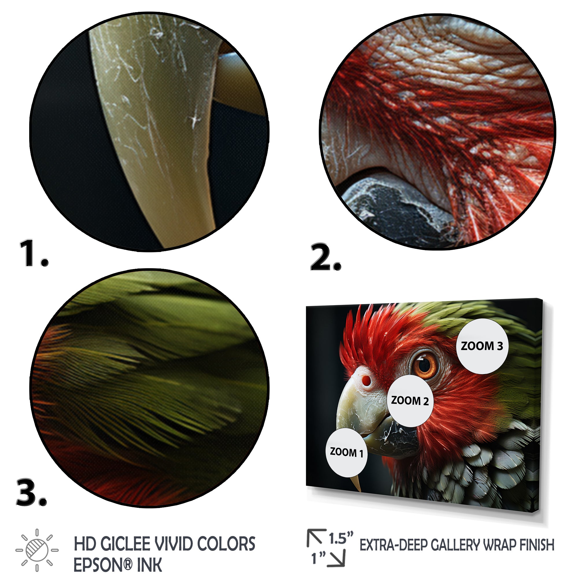 Red Parrot Portrait - Parrot Wall Art Prints