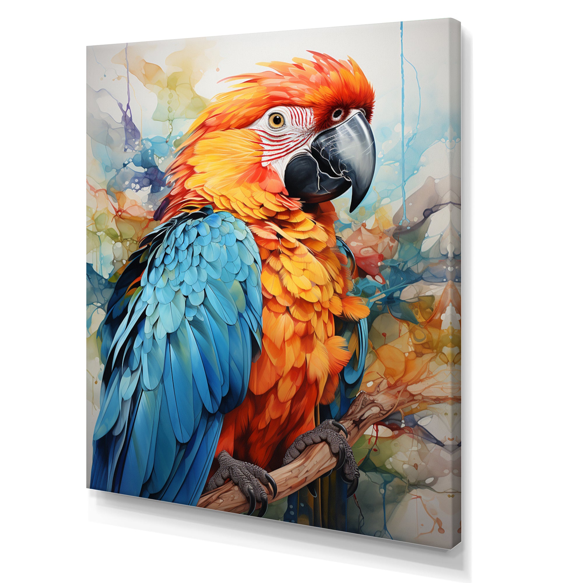 Orange Blue Parrot Vibrant Plumage - Orange Parrot Wall Art