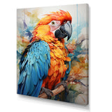 Orange Blue Parrot Vibrant Plumage - Orange Parrot Wall Art