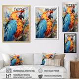 Orange Blue Parrot Vibrant Plumage - Orange Parrot Wall Art