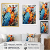 Orange Blue Parrot Vibrant Plumage - Orange Parrot Wall Art