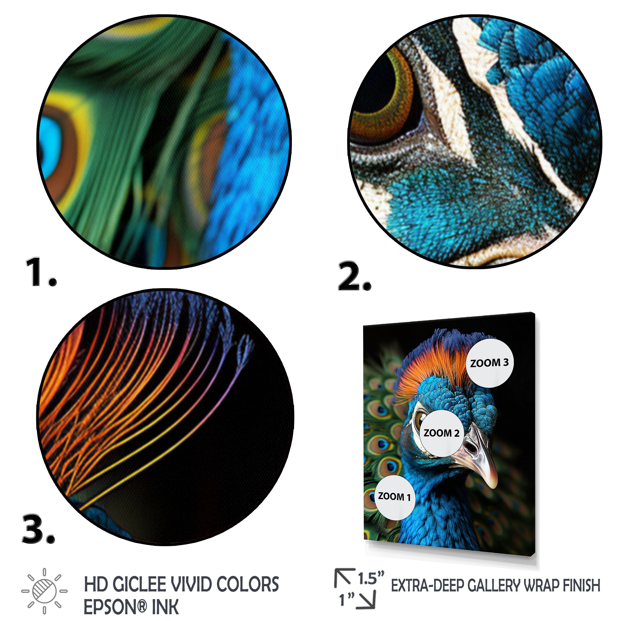 Peacock Animal Portrait - Peacock Canvas Wall Art