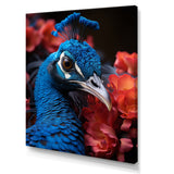 Teal Peacock Portrait Vibrant - Peacock Wall Decor