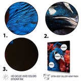 Teal Peacock Portrait Vibrant - Peacock Wall Decor