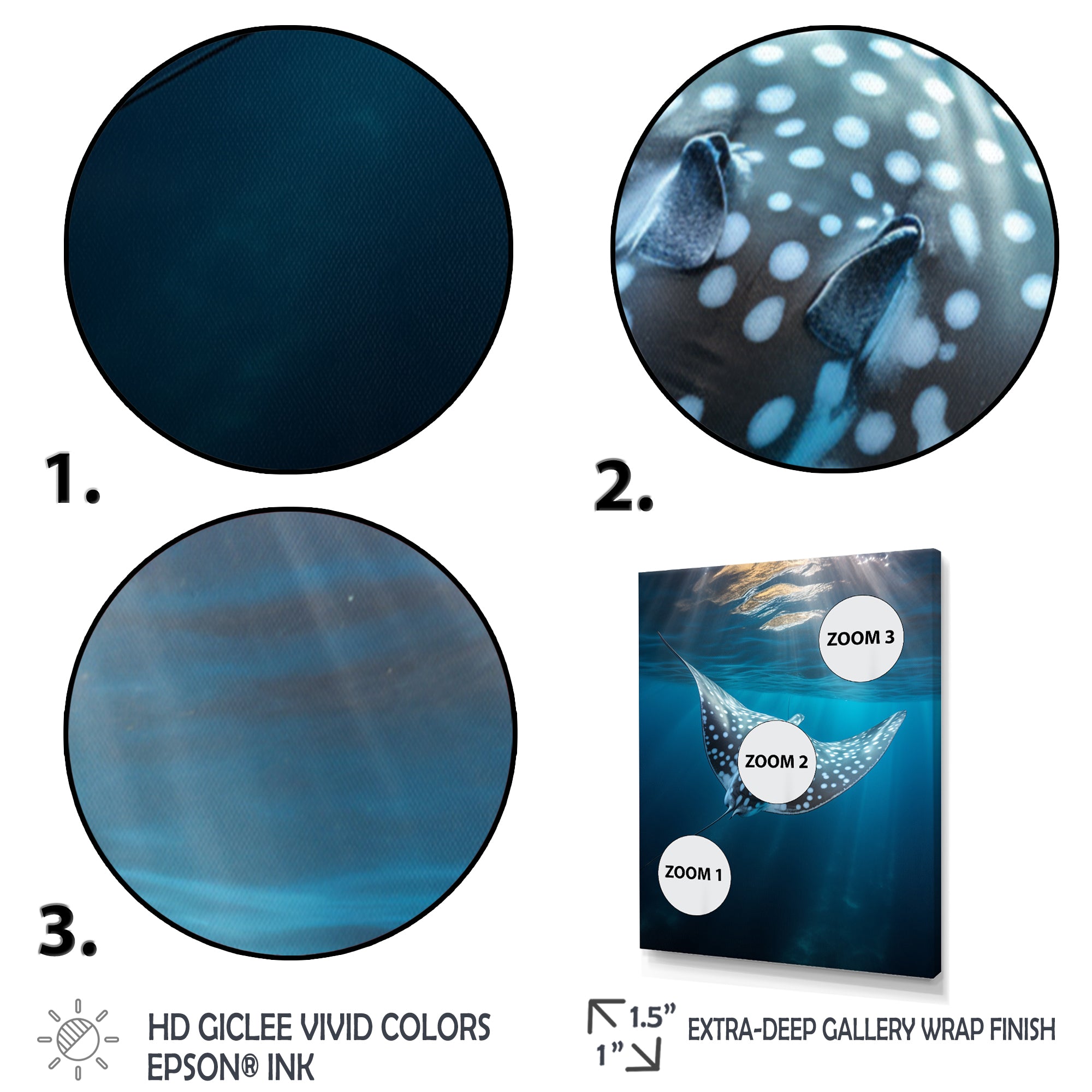 Ray Graceful Glide Ocean - Ray Canvas Wall Art