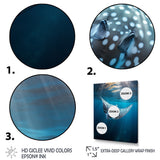 Ray Graceful Glide Ocean - Ray Canvas Wall Art