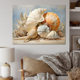 Seashells Contemporary Collage - Seashell Canvas Wall Art