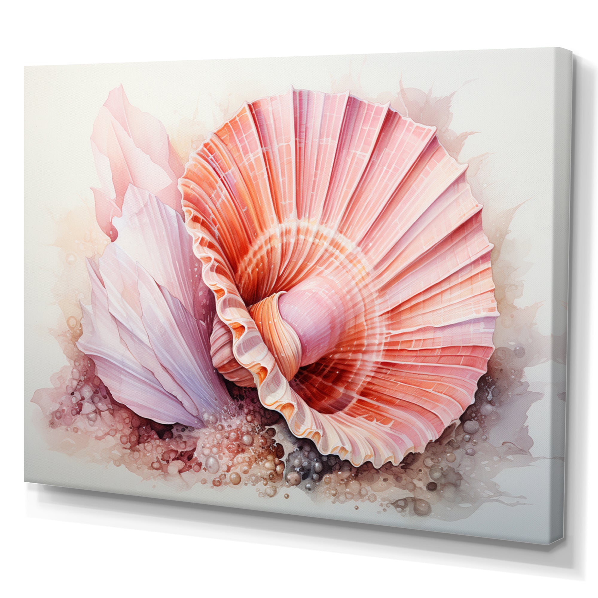 Peach Seashell Serenity - Seashell Large Canvas Wall Art