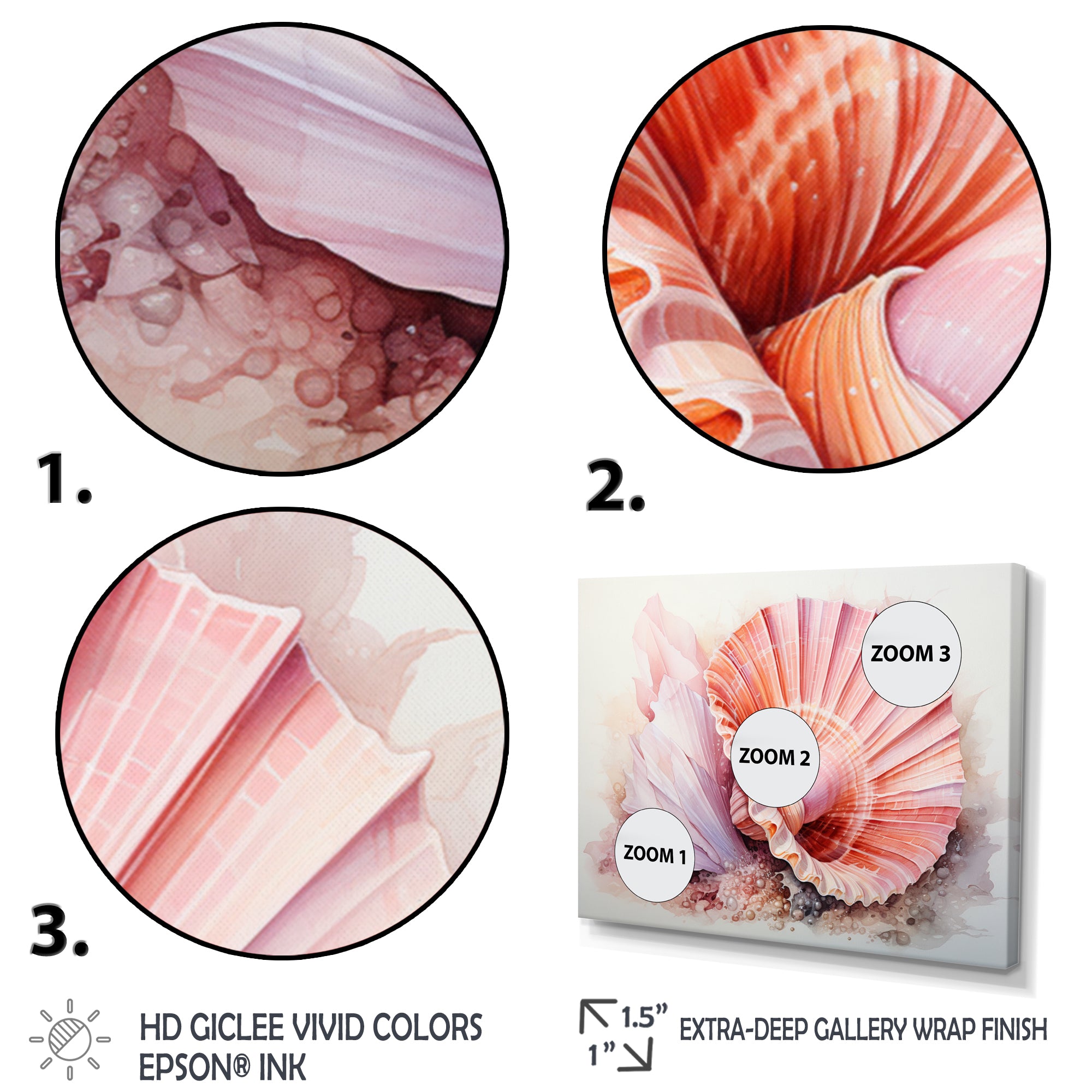 Peach Seashell Serenity - Seashell Large Canvas Wall Art