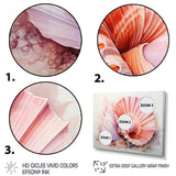 Peach Seashell Serenity - Seashell Large Canvas Wall Art