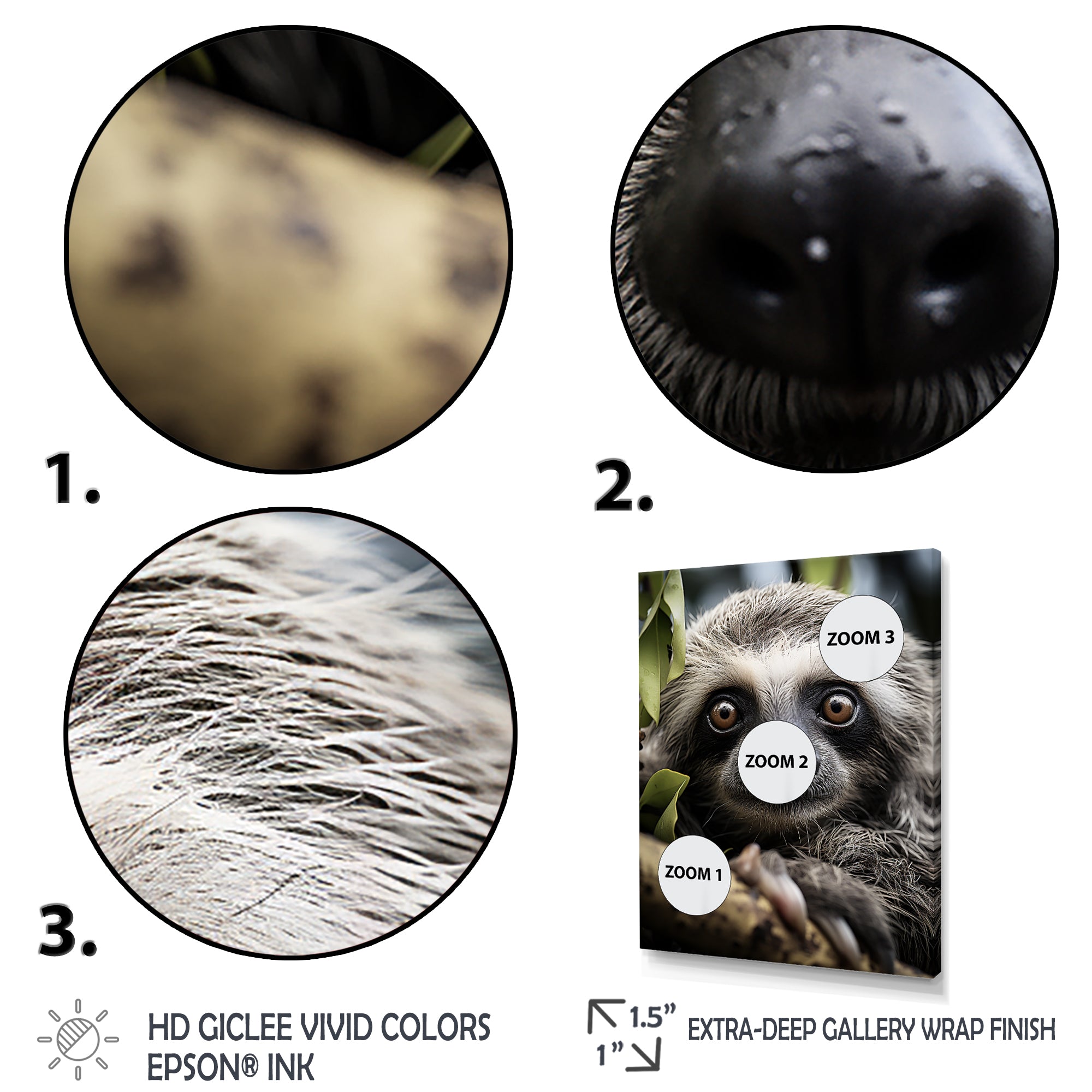 Sloth Portrait Vibrant - Sloth Framed Canvas Art