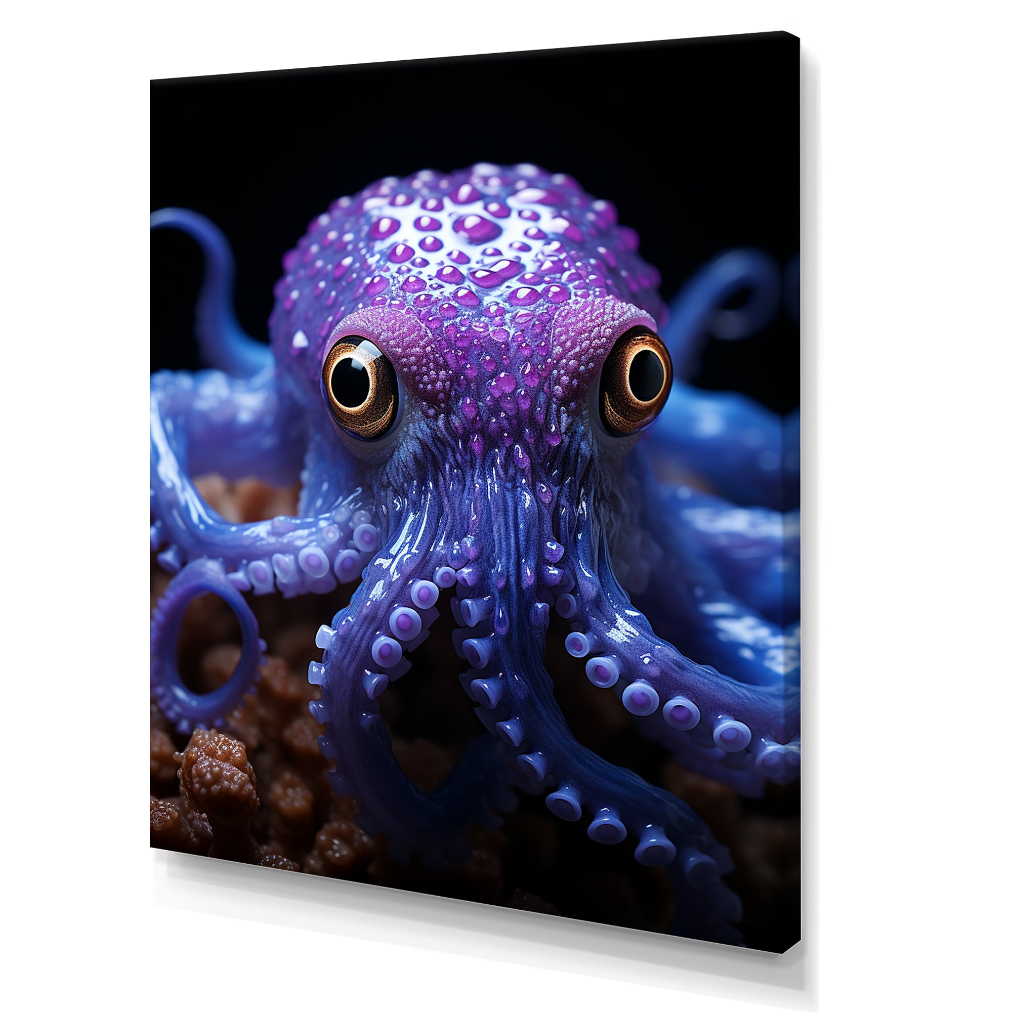 Purple Squid Enigmatic Cephalopod - Squid Wall Art Prints