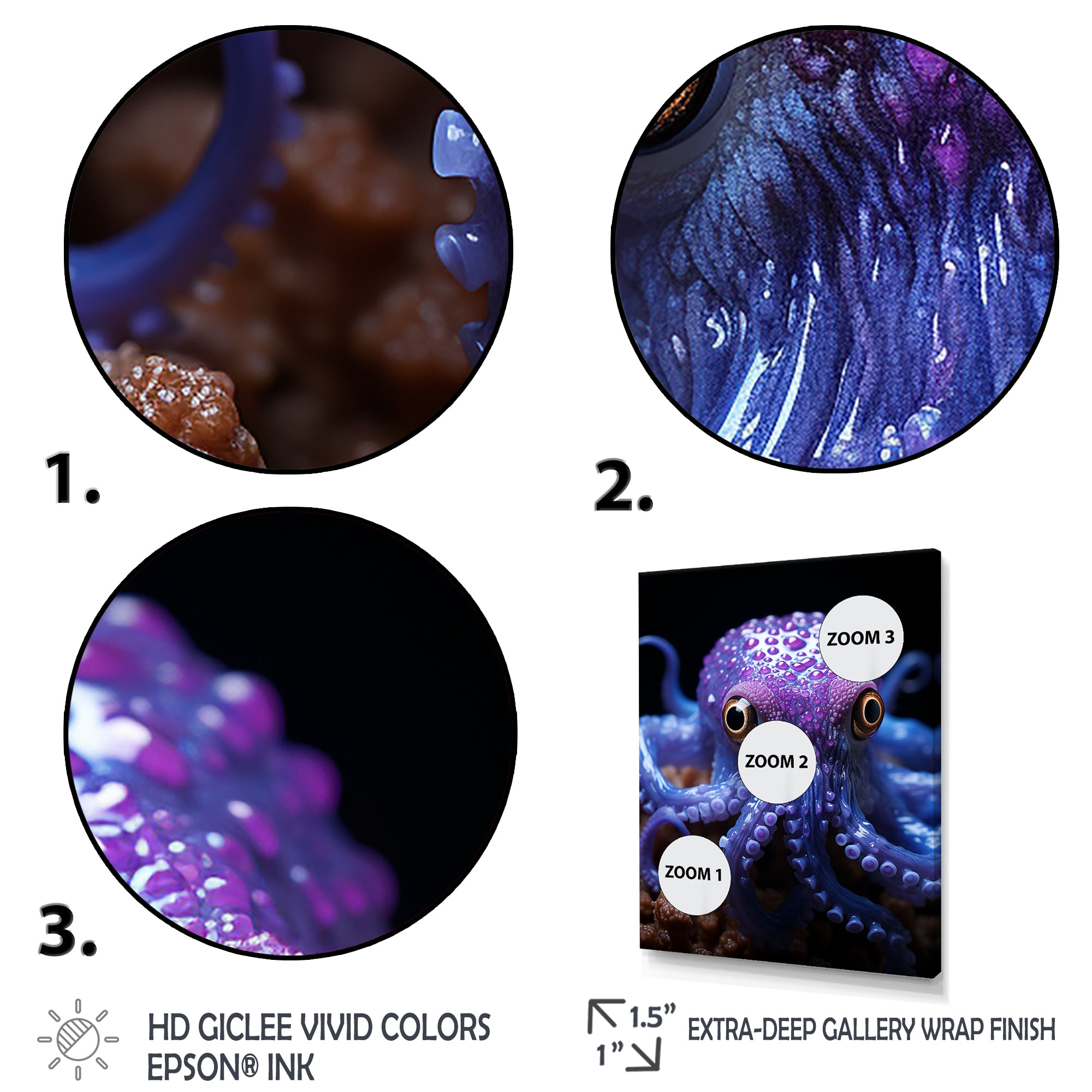 Purple Squid Enigmatic Cephalopod - Squid Wall Art Prints