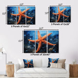 Coral Starfish Underwater - Starfish Living Room Wall Art