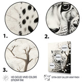 Tiger Harmony In Monochrome - Tiger Wall Art Prints