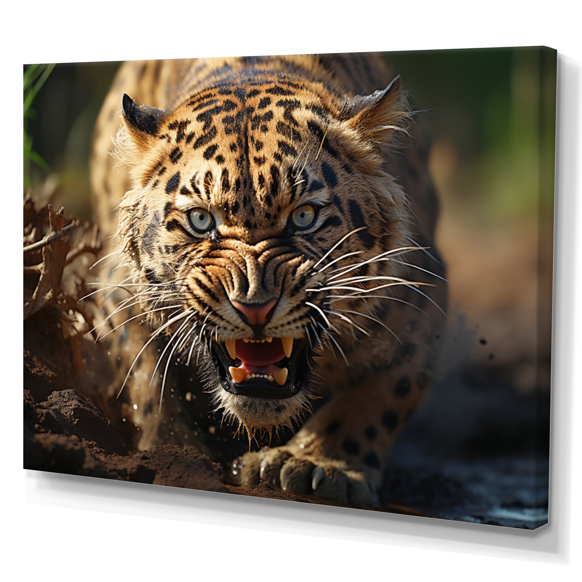 Leopard Wildlife Encounters - Tiger Wall Art Prints