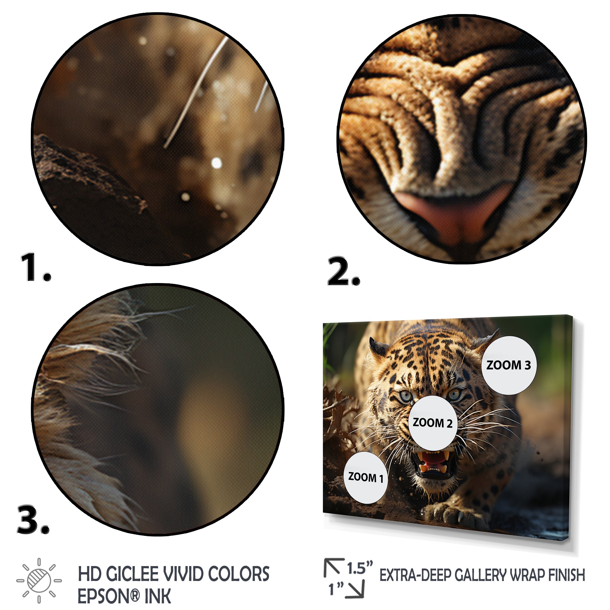 Leopard Wildlife Encounters - Tiger Wall Art Prints