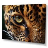Leopard Eye Closeup Wildlife Encounters - Green Tiger Wall Art
