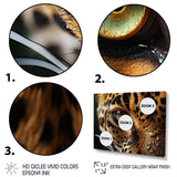 Leopard Eye Closeup Wildlife Encounters - Green Tiger Wall Art