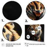 Tiger Roaring Majesty - Tiger Home Decor Art