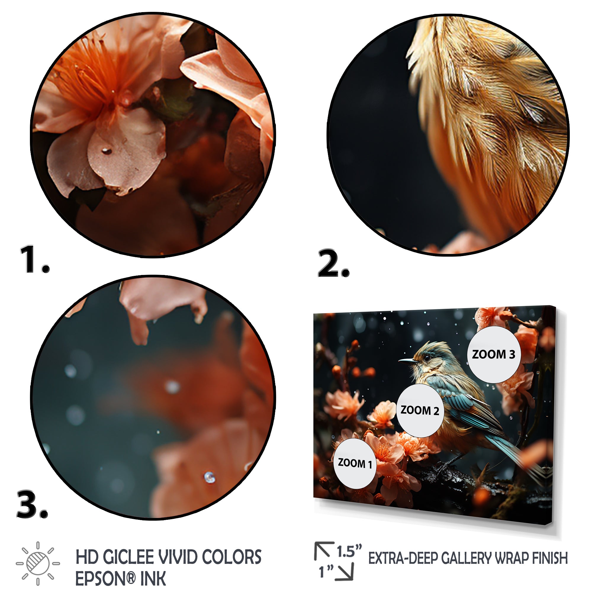 Bluebird Serenade Nature Photography - Bird Wall Art Prints