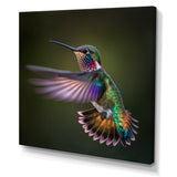 Purple Colibri Hovering Nature Photography - Bird Wall Decor