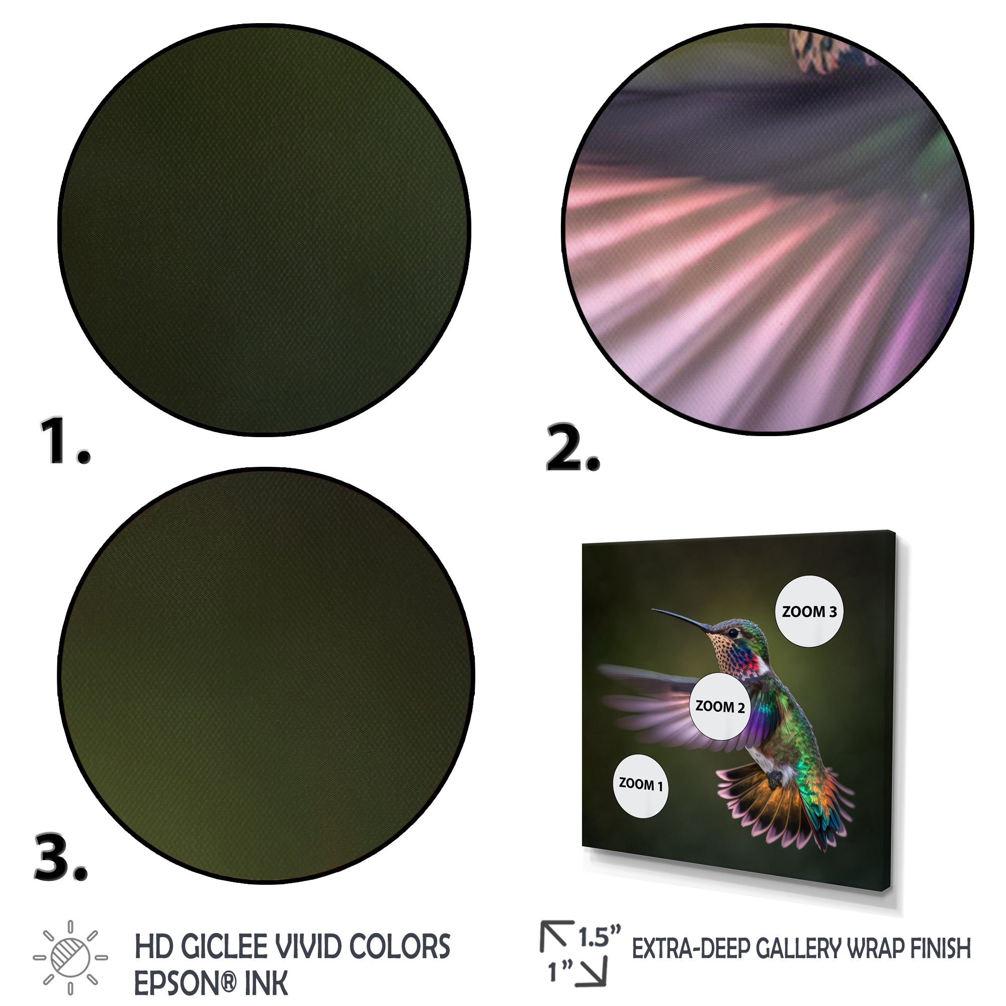 Purple Colibri Hovering Nature Photography - Bird Wall Decor