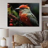 Orange Tropical Bird On Branch Nature Photography - Bird Wall Decor