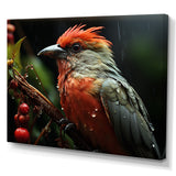 Orange Tropical Bird On Branch Nature Photography - Bird Wall Decor